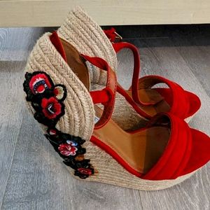 Red Wedges